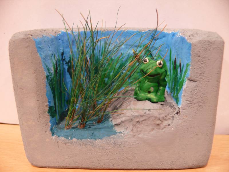 Frog diorama